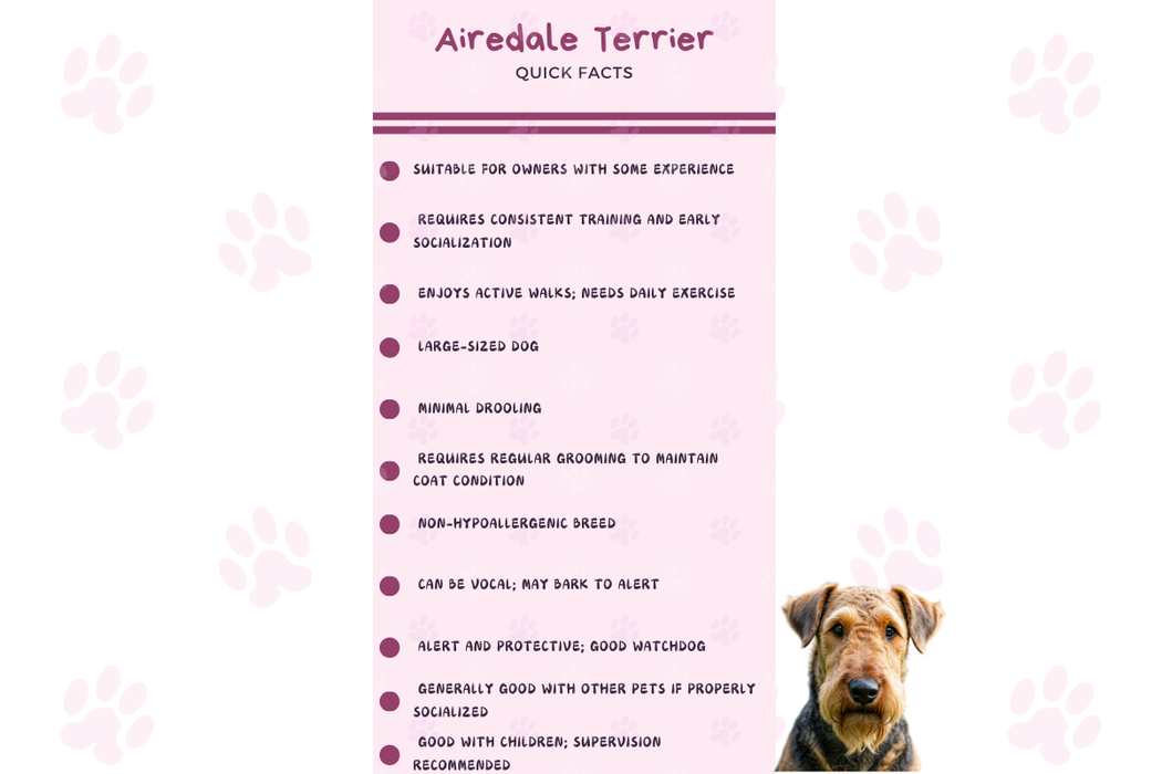 Infographic summarizing Airedale Terrier’s traits: energy, grooming, trainability, and family compatibility