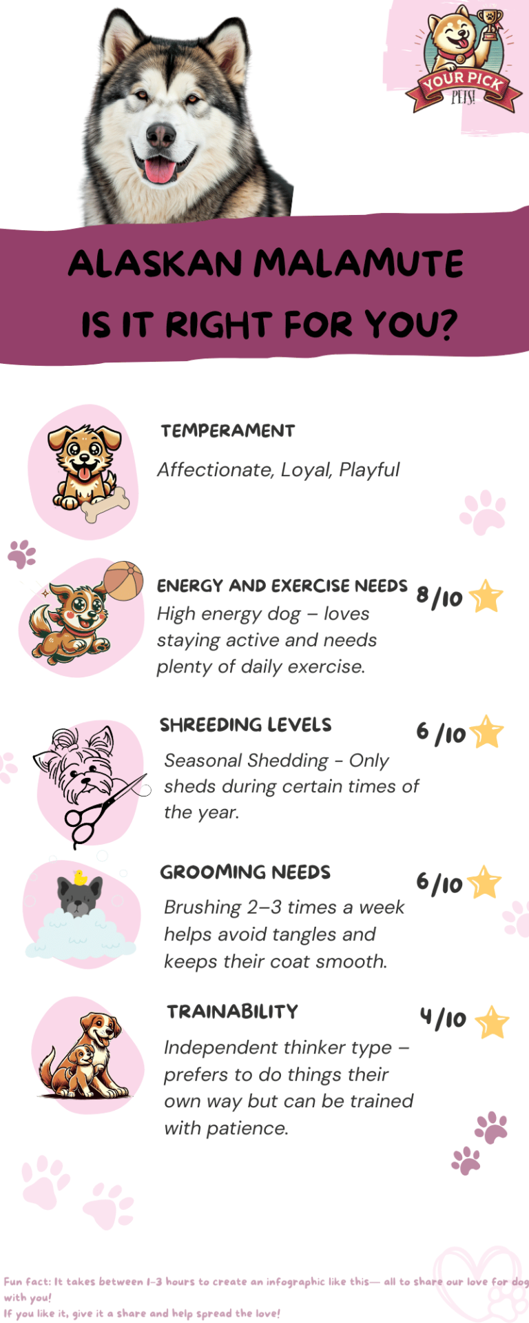 Infographic showing Alaskan Malamute’s exercise needs, temperament, grooming, and shedding levels