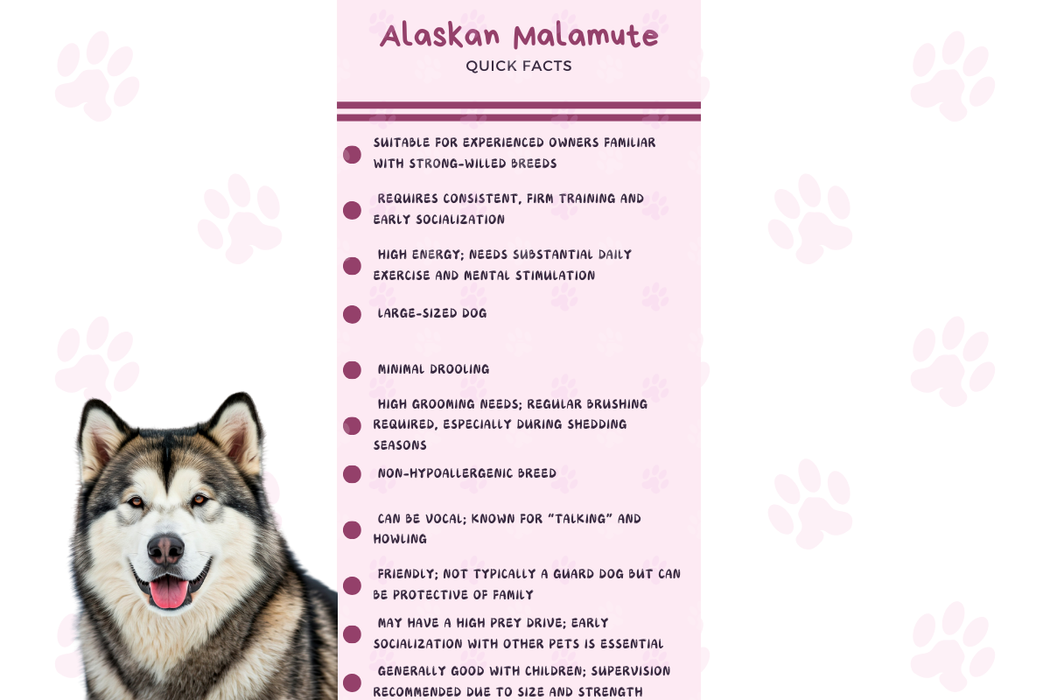 Infographic summarizing Alaskan Malamute’s traits: high energy, trainability, shedding, and grooming needs