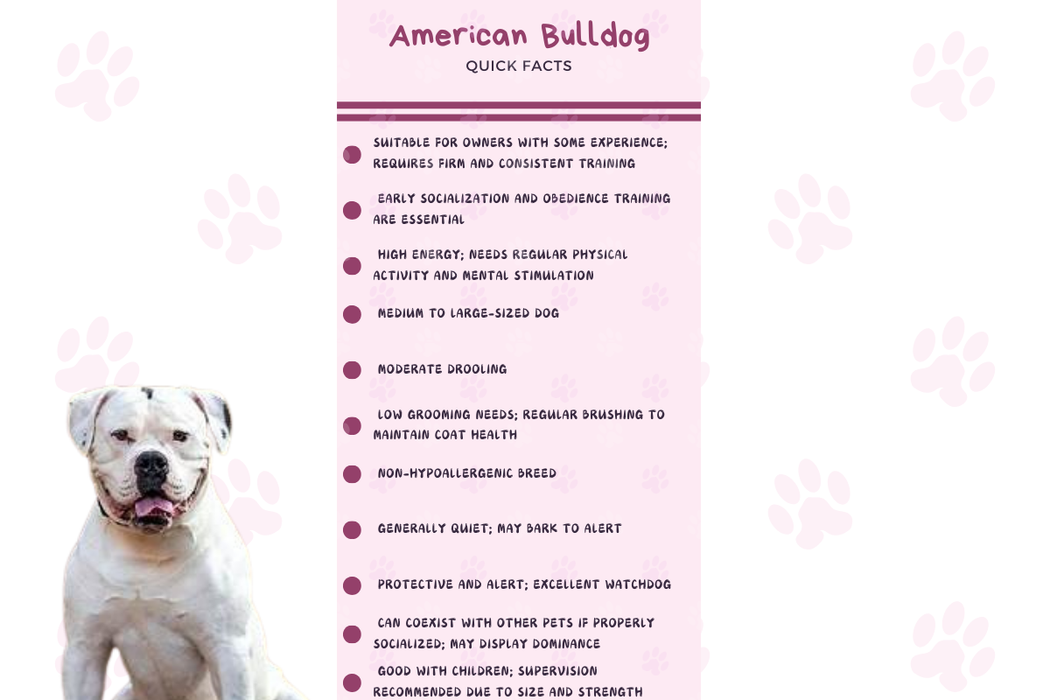 Infographic summarizing American Bulldog traits: trainability, moderate grooming, and suitability for families