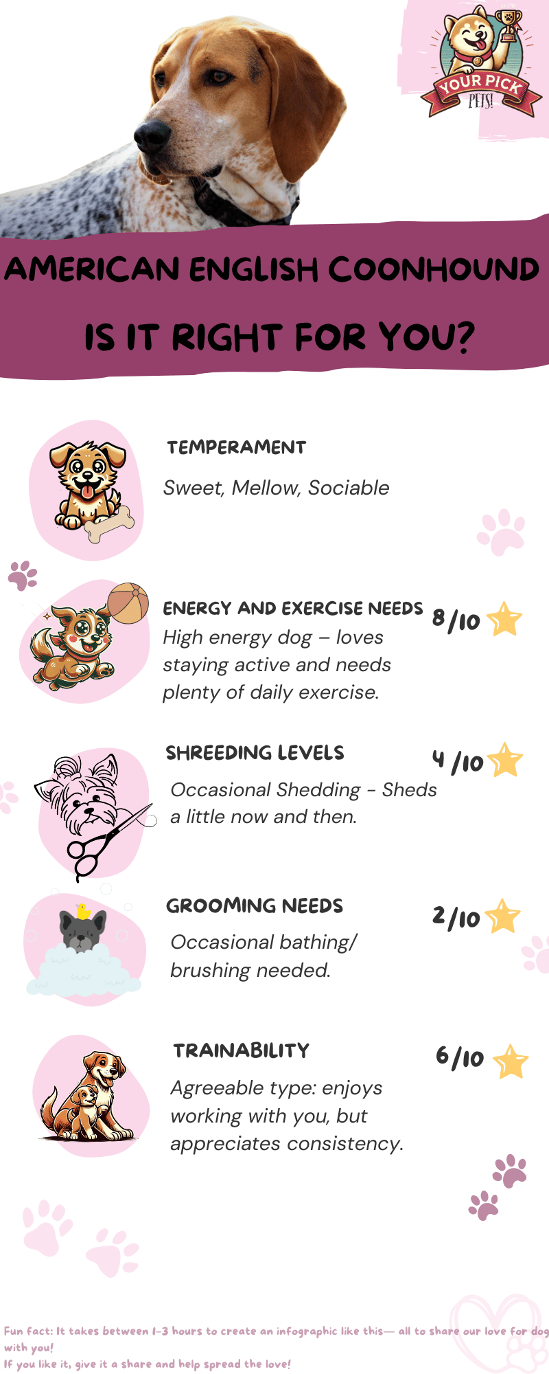 Infographic showing American English Coonhound’s energy needs, temperament, grooming, and trainability with ratings