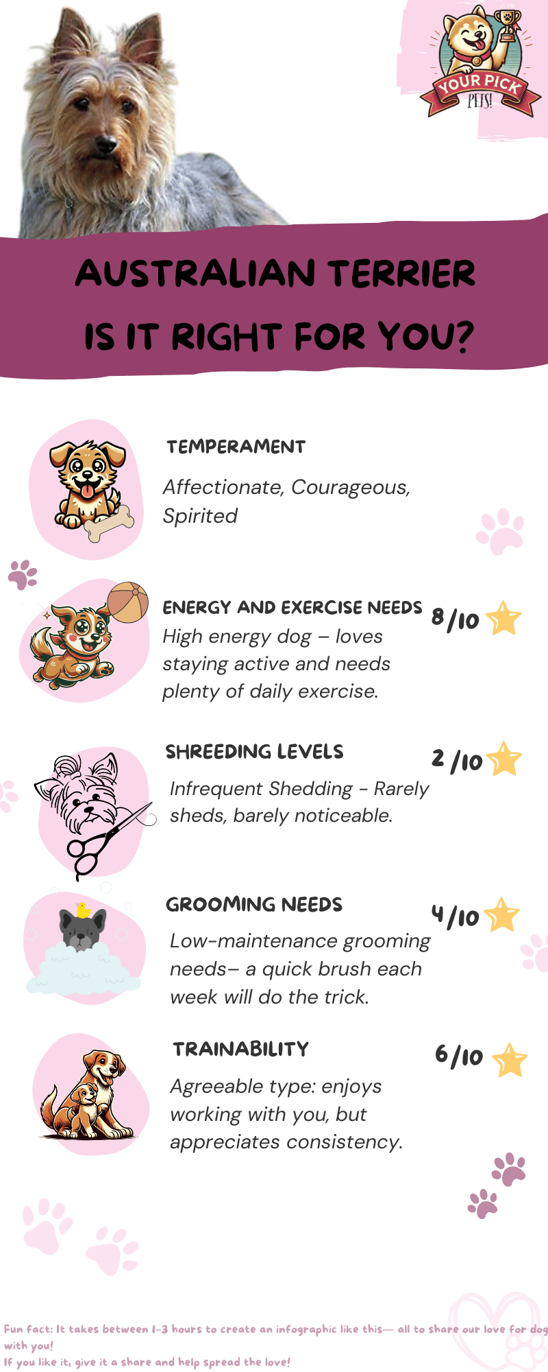 Infographic showing Australian Terrier’s temperament, trainability, and grooming needs