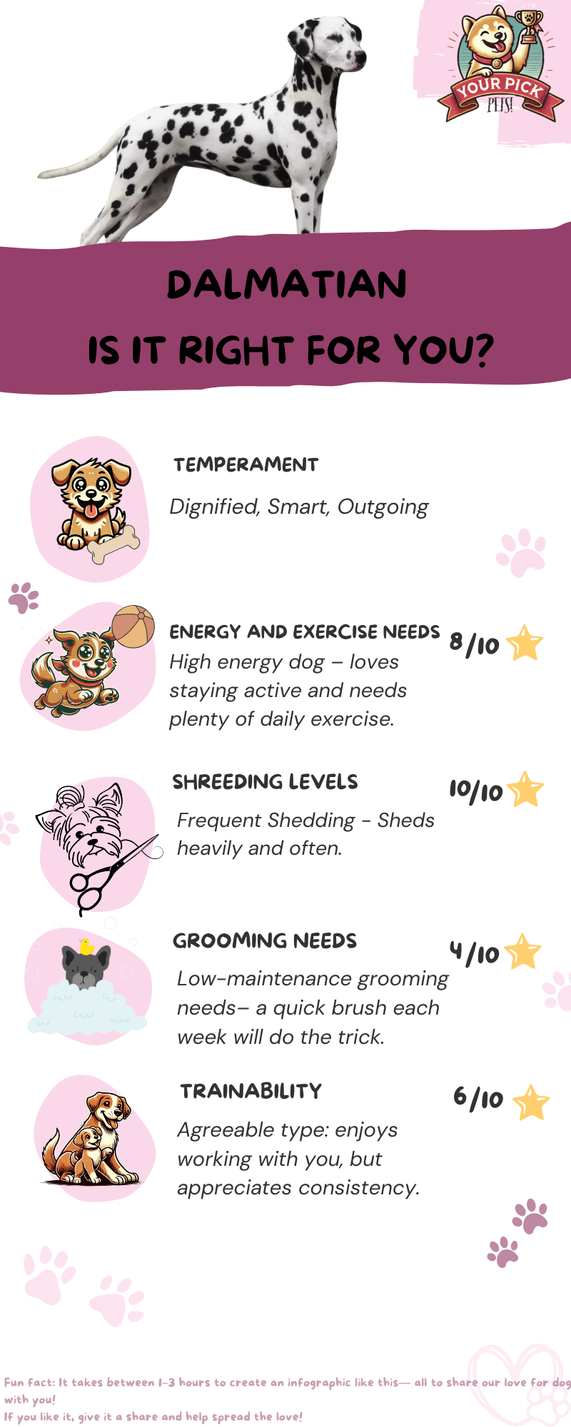 Infographic about Dalmatian’s energy levels, grooming needs, and trainability